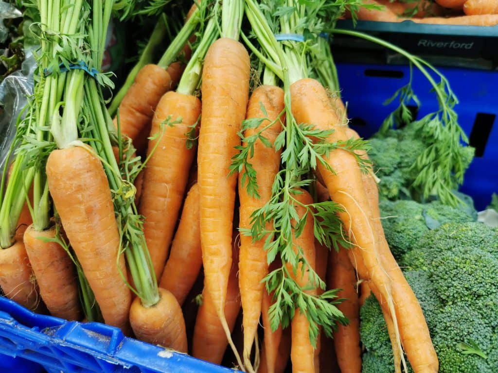 Freshly picked delicious organic carrots from Earthfare's local organic farming range